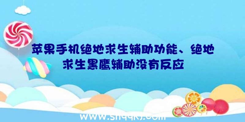 苹果手机绝地求生辅助功能、绝地求生黑鹰辅助没有反应