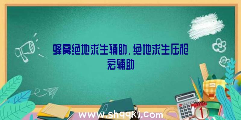 蜂窝绝地求生辅助、绝地求生压枪宏辅助