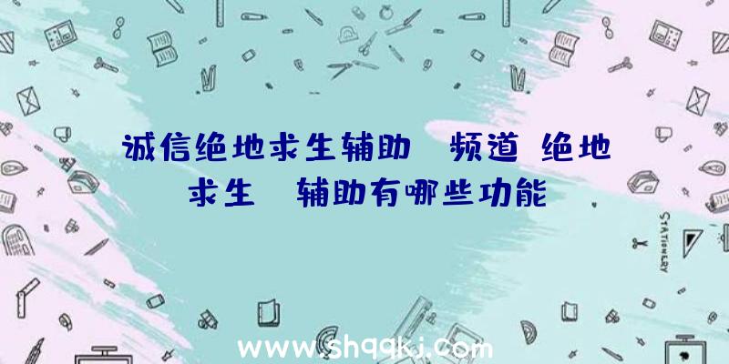 诚信绝地求生辅助yy频道、绝地求生dm辅助有哪些功能