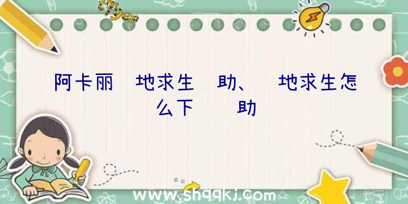 阿卡丽绝地求生辅助、绝地求生怎么下载辅助