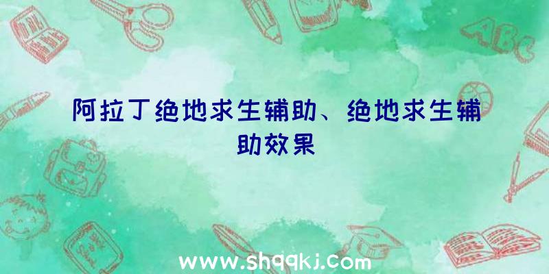 阿拉丁绝地求生辅助、绝地求生辅助效果