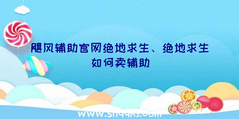 飓风辅助官网绝地求生、绝地求生如何卖辅助